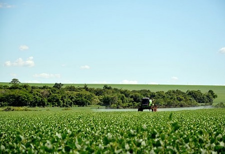 Os benefícios e riscos dos agroquímicos na agricultura