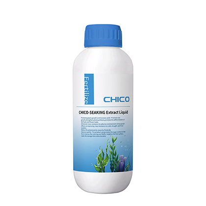 CHICO SEAKING®Extrato de algas marinhas líquido fertilizante orgânico