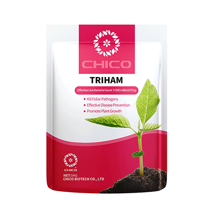 TRIHAM®-Biosestimulante Bio Trichoderma harzianum para a doença das culturas
