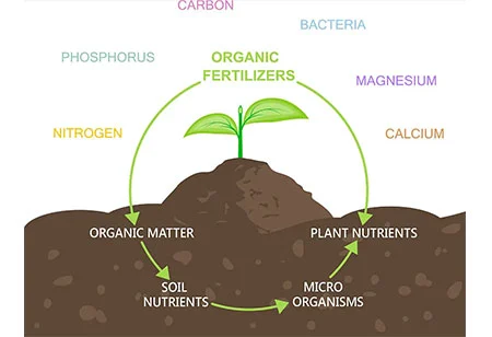 Desenvolver agricultura ecológica e fazer bom uso de fertilizantes biológicos