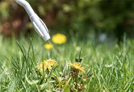 A aplicação de herbicidas funciona maravilhas