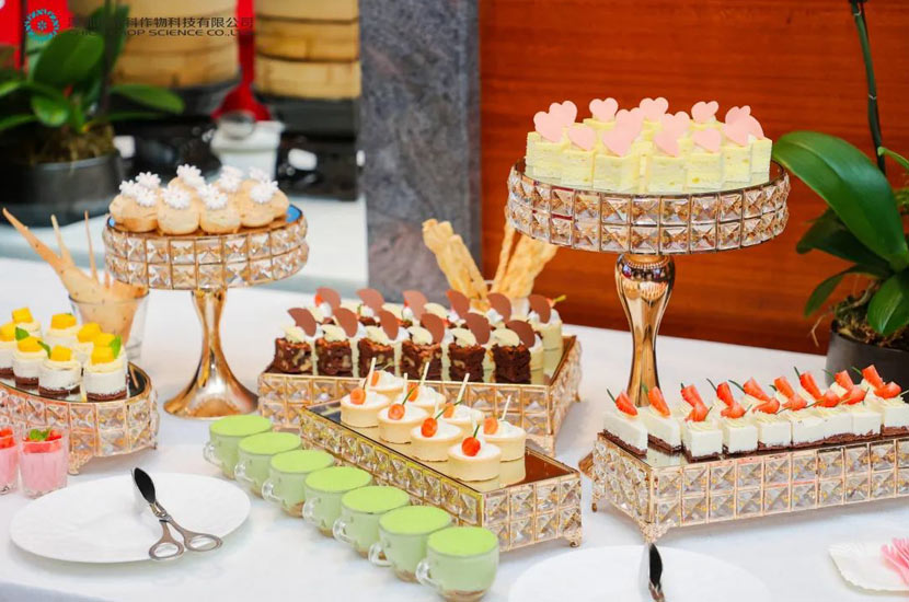 CHICO-10th-Anniversary-Celebration-7.jpg CHICO-10th-Anniversary-Celebration-7.jpg