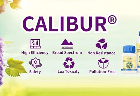 Como prevenir a doença das culturas durante a estação chuvosa