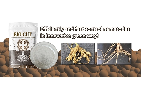 Nematóides de controle eficiente e rápido em uma maneira verde inovadora!