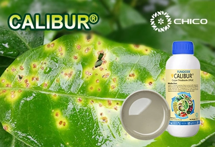 CALIBUR®: Fungicida de cobre orgânico único com excelente eficácia e segurança superior