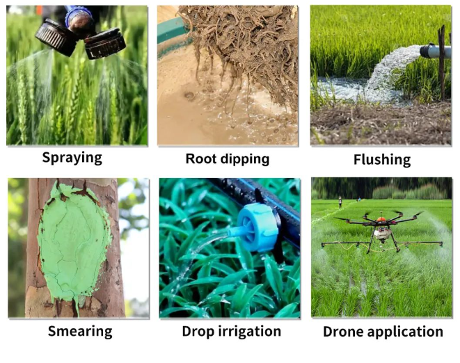 How_to_use_pesticides_correctly333.png How_to_use_pesticides_correctly333.png