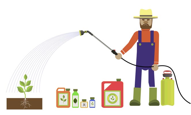 How_to_use_pesticides_correctly4.jpg How_to_use_pesticides_correctly4.jpg