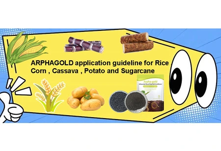Diretriz de aplicação ARPHAGOLD para arroz, milho, mandioca, batata e cana-de-açúcar?